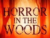 Horror in the Woods by Lee Mountford review