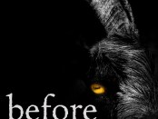 Before You Wake book cover