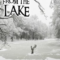 a-view-from-the-lake